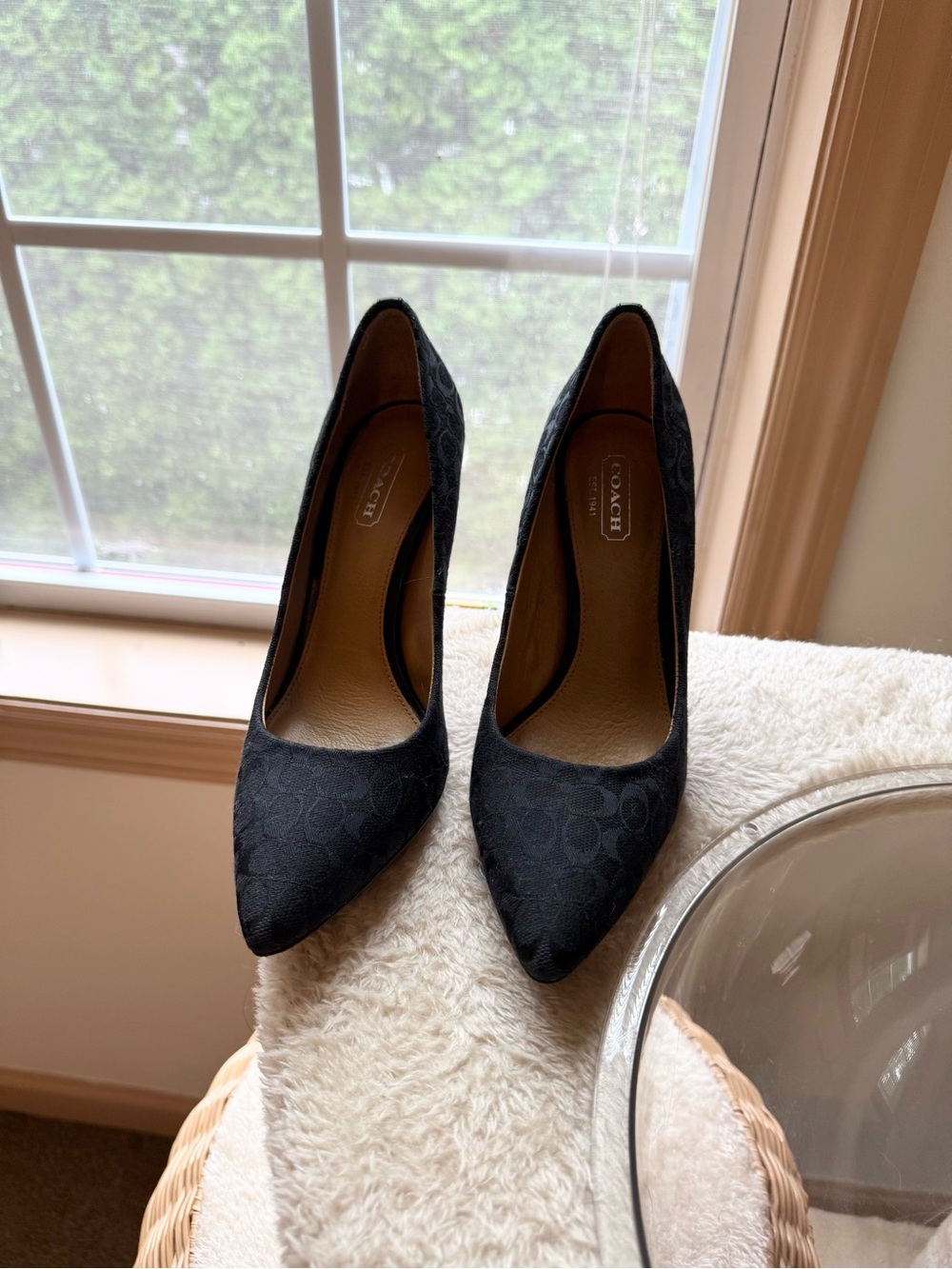 Coach Black Signature Jacquard Pointed-Toe Heels